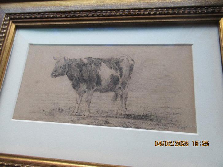 Willem de Zwart -  Koeien, Antiek en Kunst, Kunst | Etsen en Gravures, Ophalen of Verzenden