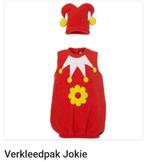 GEZOCHT!! || JOKIE (Efteling) verkleedpak / carnaval, Ophalen of Verzenden, Jongen of Meisje