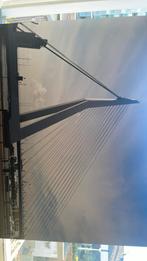 Foto schilderij Erasmusbrug, Ophalen