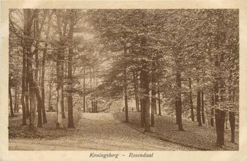 (387-006-025) Rozendaal Koningsberg beschikbaar voor biedingen