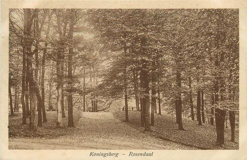 (387-006-025) Rozendaal Koningsberg, Verzamelen, Ansichtkaarten | Nederland, Gelderland, Voor 1920, Verzenden