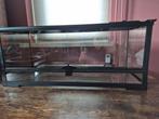 Terrarium voor reptielen, Dieren en Toebehoren, Reptielen en Amfibieën | Toebehoren, Ophalen, Zo goed als nieuw, Terrarium of Paludarium