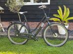 Dames Gazelle Esprit, maat L, shimano Nexus 3. Bouwjaar 2025, Ophalen, Versnellingen, Nieuw, 56 cm of meer