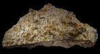 **TOP** Groot WULFENIET kristal stuk uit China., Ophalen of Verzenden, Mineraal