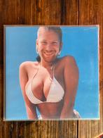 Aphex Twin Windowlicker LP, Ophalen