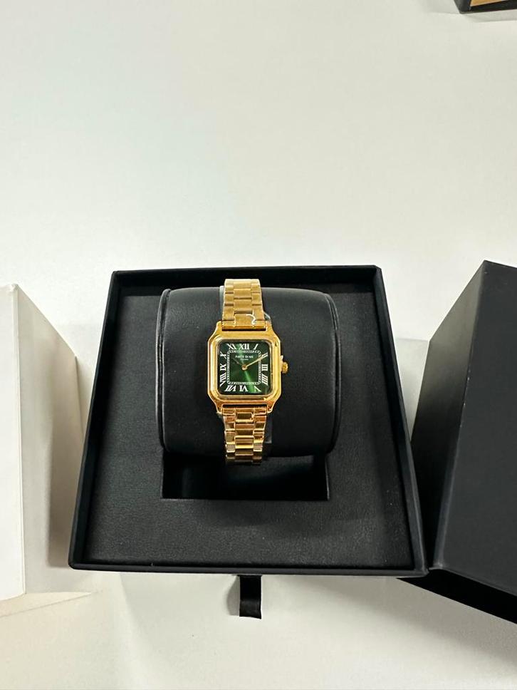 Parte di me Firenze horloge - Nieuw!, Sieraden, Tassen en Uiterlijk, Horloges | Dames, Nieuw, Polshorloge, Overige merken, Staal