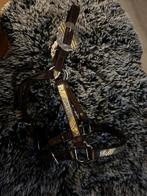 Super chique veulen showhalster, Dieren en Toebehoren, Ophalen of Verzenden, Gebruikt, Western