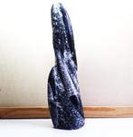 Grote fossiel van versteende inktvis, Verzamelen, Ophalen of Verzenden, Fossiel