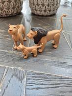 Playmobil 6642 Leeuwenfamilie, Ophalen of Verzenden, Zo goed als nieuw, Los playmobil