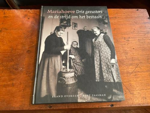 Mariahoeve drie gezusters en de strijd om het bestaan, Boeken, Geschiedenis | Stad en Regio, Verzenden