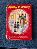 Oud Christelijk communie kinderboekje, Boeken, Gelezen, Christendom | Katholiek, Ophalen of Verzenden, A. Chr. Oomes