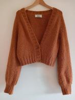 Inti vest wol, Kleding | Dames, Ophalen of Verzenden, Maat 38/40 (M), Bruin