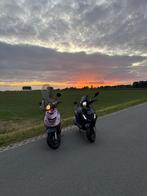 Zip waardenpeiling, Overige modellen, Maximaal 45 km/u, Ophalen of Verzenden, Zo goed als nieuw