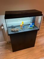 Juwel primo 110 plus kast led licht, Ophalen, Zo goed als nieuw, Leeg aquarium