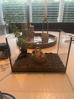Leuk mini-aquarium met toebehoren!, Dieren en Toebehoren, Vissen | Aquaria en Toebehoren, Ophalen, Zo goed als nieuw, Leeg aquarium