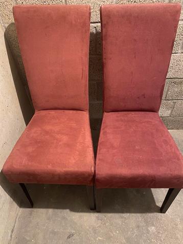 Bordeaux rode stoelen beschikbaar voor biedingen