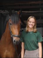 Bijrijdster aangeboden – regio Ommen (Overijssel), Dieren en Toebehoren, Ophalen of Verzenden, Zo goed als nieuw