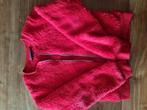 Vest, Kinderen en Baby's, Kinderkleding | Maat 134, Ophalen of Verzenden, Zo goed als nieuw, Jongen, Trui of Vest