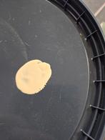 10 ltr Sikkens Projecttex voor 60,00, Verzenden, Nieuw