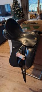 Anatomica dressuur zadel, Ophalen of Verzenden, Dressuur