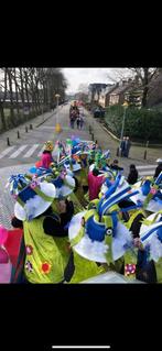 Carnavalskostuum Groep, Kleding | Dames, Carnavalskleding en Feestkleding, Carnaval, Maat 42/44 (L), Ophalen of Verzenden, Zo goed als nieuw