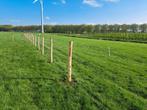 Natuurlijke afscheiding Wilgenschutting,Schapenhek,Gaas, Tuin en Terras, Gaas en Draad, Ophalen, Nieuw, Minder dan 10 meter, Overige typen