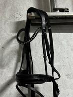 Qhp hoofdstel, Ophalen of Verzenden, Zo goed als nieuw, Dressuur