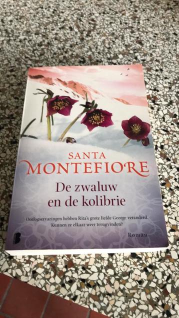 Santa Montefiore - De zwaluw en de kolibrie