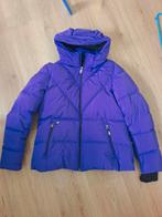 Falcon Winterjas Maat XL, Kleding | Dames, Wintersportkleding, Ophalen of Verzenden