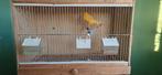 Meerdere broedhokken/kweekhokken, Dieren en Toebehoren, Vogels | Hokken en Kooien, Ophalen, Zo goed als nieuw, Hout, Vogelkooi