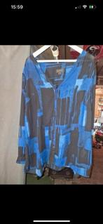 Tekoop geruite blouse, Kleding | Dames, Blauw, Maat 46/48 (XL) of groter, Ophalen of Verzenden, Zo goed als nieuw