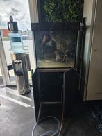 Speciaal aquarium van aqualife, Dieren en Toebehoren, Ophalen, Zo goed als nieuw, Leeg aquarium