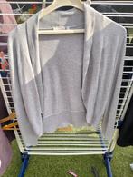 Vestje maat S, Ophalen of Verzenden, Zo goed als nieuw, Maat 36 (S), Grijs