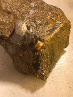 Fossielen stengel zeelelie crinoide., Verzamelen, Mineralen en Fossielen, Ophalen of Verzenden, Fossiel