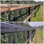 Carboleum, Onderhoudsolie, Omheining, Hekwerk, Weidegang, Sales@veldomheiningen.nl, Schaijk, 4 paarden of pony's of meer