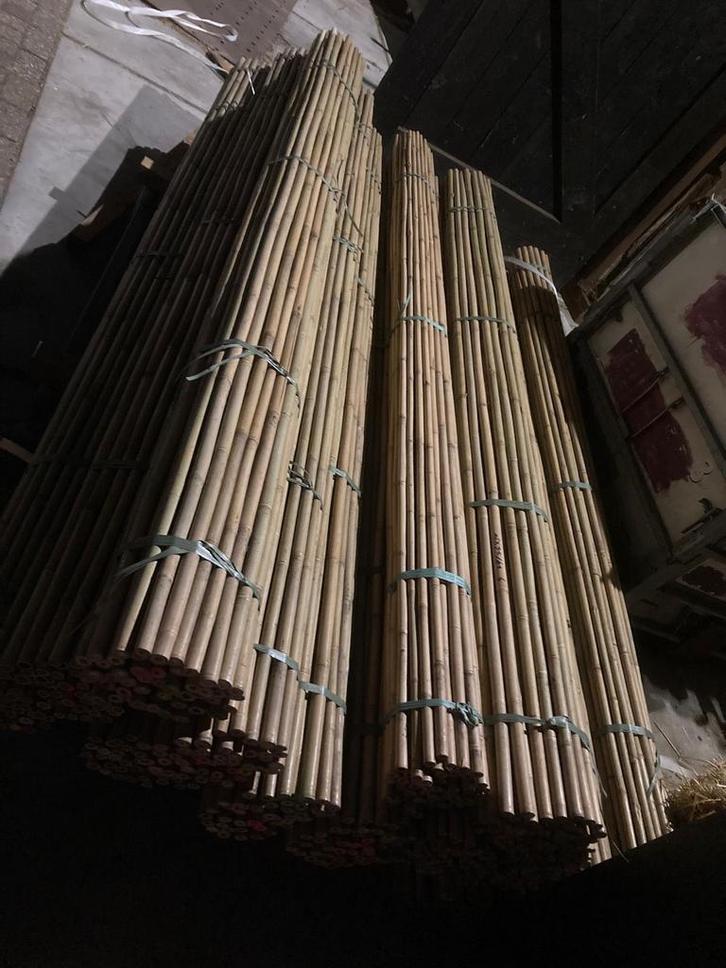 Bonenstokken bamboestok tonkin plantondersteuning moestuin, Tuin en Terras, Kweekspullen, Nieuw, Ophalen of Verzenden