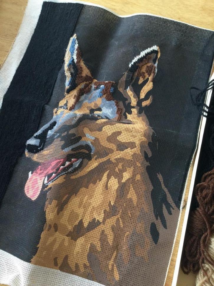 Diverse borduurwerken af en om af te maken, Hobby en Vrije tijd, Borduren en Borduurmachines, Borduurpakket, Ophalen of Verzenden