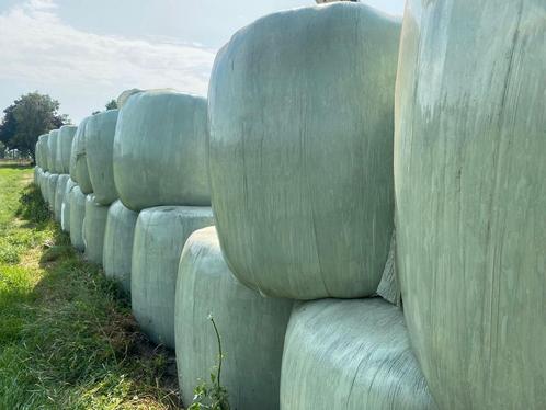 Ronde balen hooi kuilgras paardenhooi te koop, Dieren en Toebehoren, Dierenvoeding, Vee, Ophalen