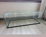 Grote glazen bak hamsterscaping terrarium, Ophalen of Verzenden, 75 tot 110 cm, Hamster, Minder dan 60 cm