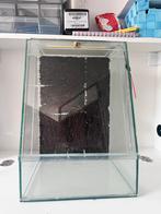 Terrarium, Dieren en Toebehoren, Ophalen