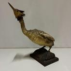 Vintage Taxidermie fuut jaren 70, Verzamelen, Ophalen of Verzenden, Gebruikt, Vogel, Opgezet dier
