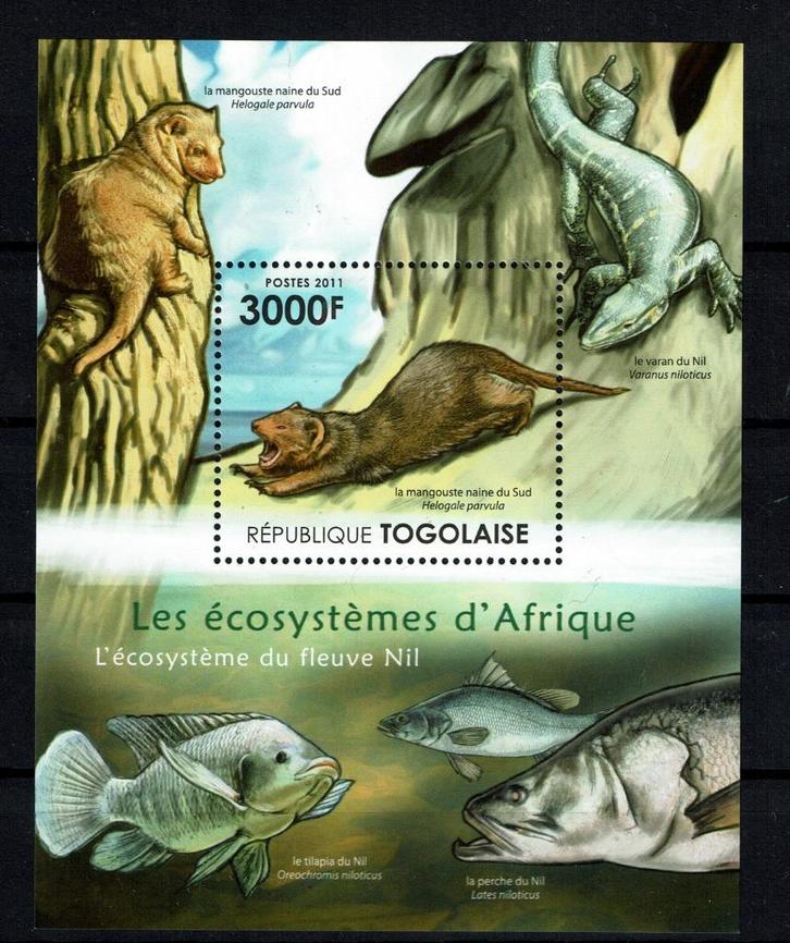 togo 2011 pf blok wildlife zoogdieren vissen hagedissen, Postzegels en Munten, Postzegels | Thematische zegels, Postfris, Dier of Natuur