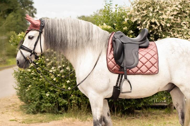 TiCi Zadeldekje Flourish Deluxe, Dieren en Toebehoren, Paarden en Pony's | Dekens en Dekjes, Nieuw, Dekje, Verzenden