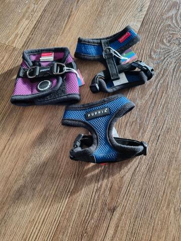 Nieuwe Puppia hondentuig xs beschikbaar voor biedingen