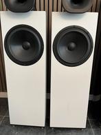 Blumenhofer FS3 mkii Luidsprekers (Bouwjaar 2024), Gebruikt, 120 watt of meer, Front, Rear of Stereo speakers, Ophalen