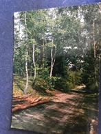 Holten, Verzenden, Voor 1920, Gelopen, Overijssel