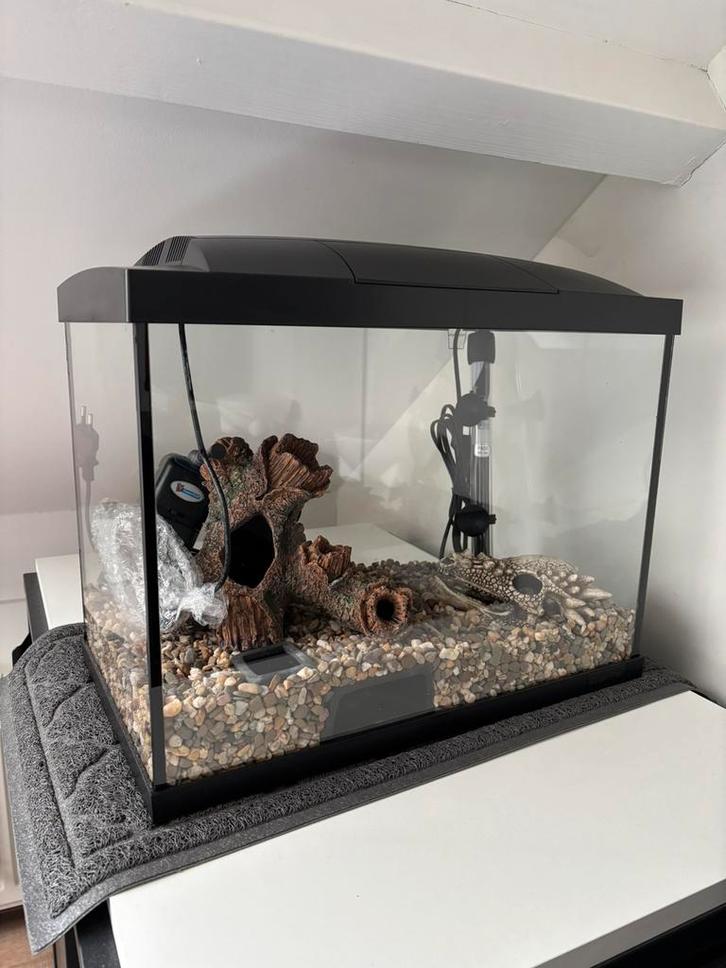 Complete Superfish Aquarium Starter Kit - 60L, Dieren en Toebehoren, Vissen | Aquaria en Toebehoren, Zo goed als nieuw, Leeg aquarium