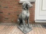 Pointer, Weimaraner, Vizla, Ophalen, Nieuw, Beton, Dierenbeeld