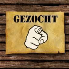 Autopoetser gezocht !!! beschikbaar voor biedingen