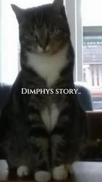 Poes gratis zoekt haar rust in een nieuw thuisje, Dieren en Toebehoren, Katten en Kittens | Raskatten | Langhaar, Poes